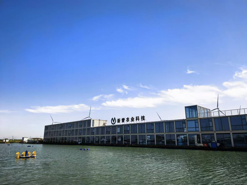 6161756113648239.jpg 1.jpg